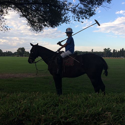 Polo player, Jockey Club, Rosario