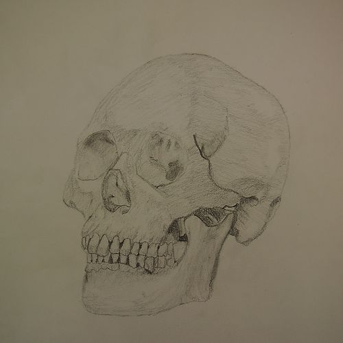Cain Taylor Yr 10