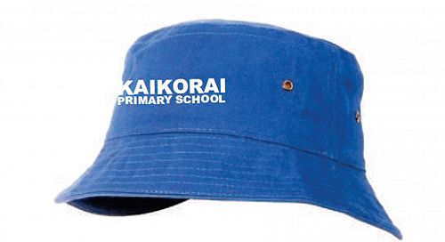School Hat