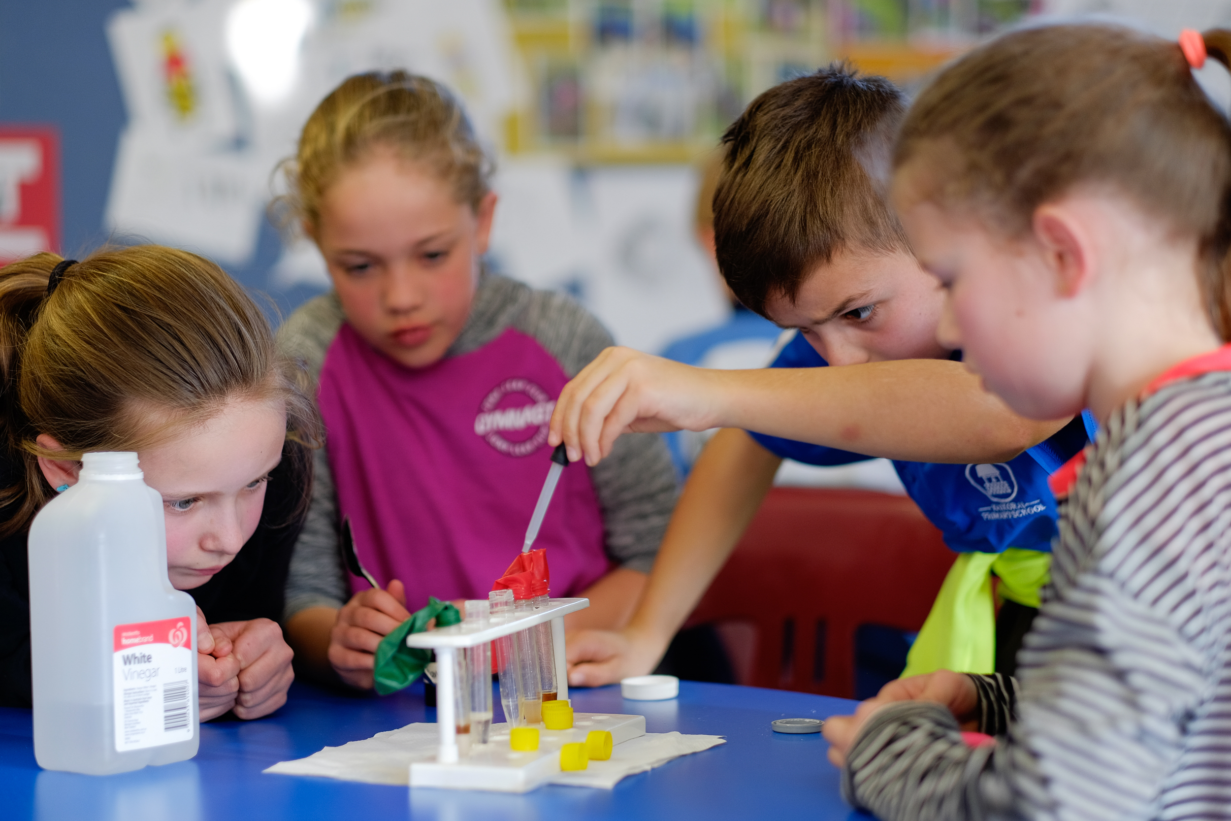 International Science Festival