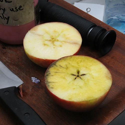Iodine Testing