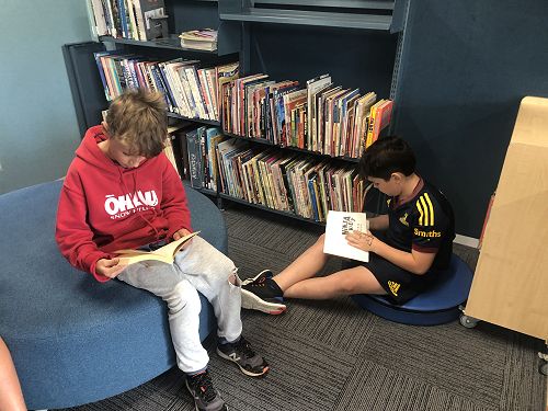 The New Library