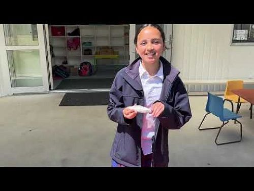 Video: Claudia & Kayah's (St Joseph's Waihi) experiement with hull floatation