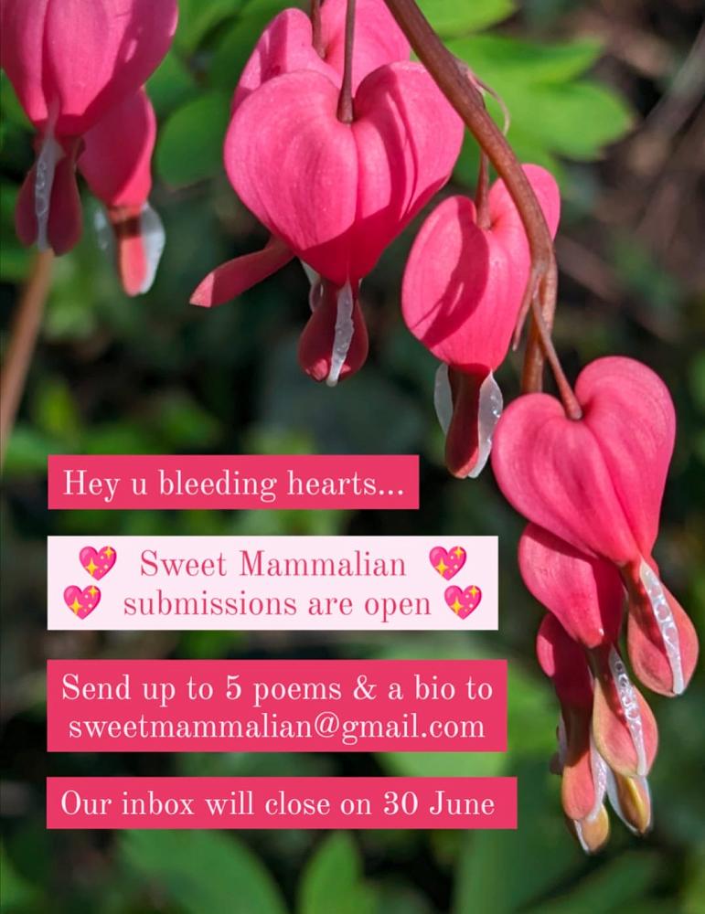 Submissions are open for Sweet Mammalian