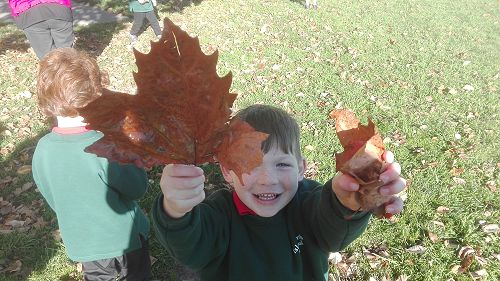 Autumn Fun