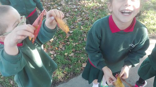 Autumn Fun
