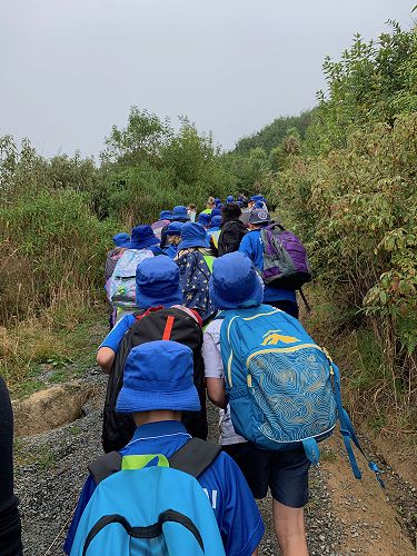 Y5 Activities