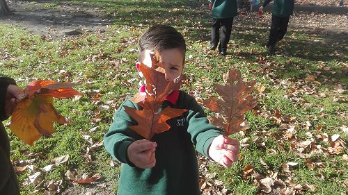 Autumn Fun