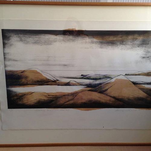Anna Reid's stunning artwork&nbsp;