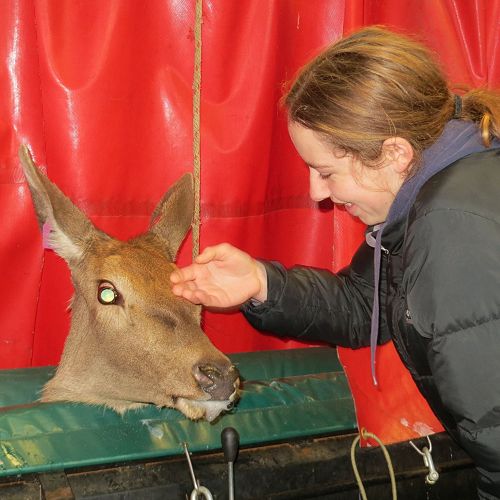 Margot Darling, of Columba College, on a field trip with the John McGlashan College Year 13 Agricultural Science class (June 2016)