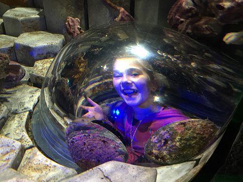 Niamh checking out the Paua at Kelly Tarltons