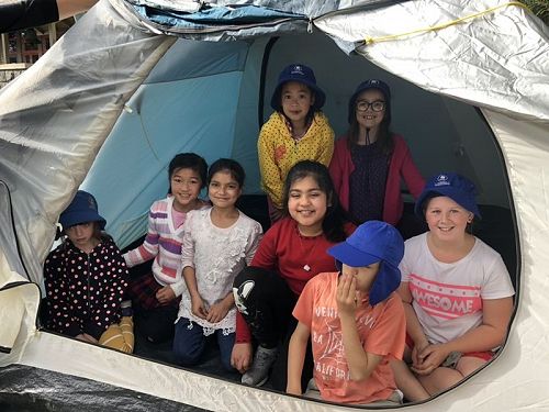 Y5 Activities
