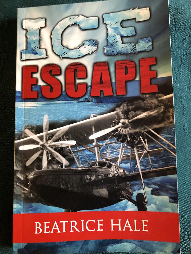 Ice Escape: the story of a rescue from the icefloes of the north.
