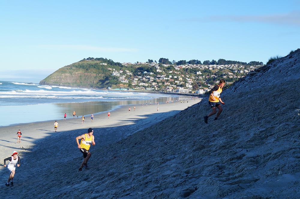 School Cross-Country, 2014