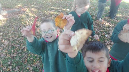 Autumn Fun