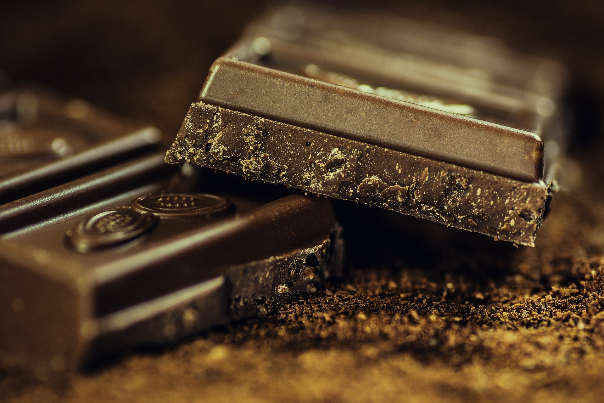 Ocho Chocolate Factory Tours