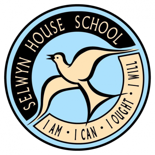 Organisation logo