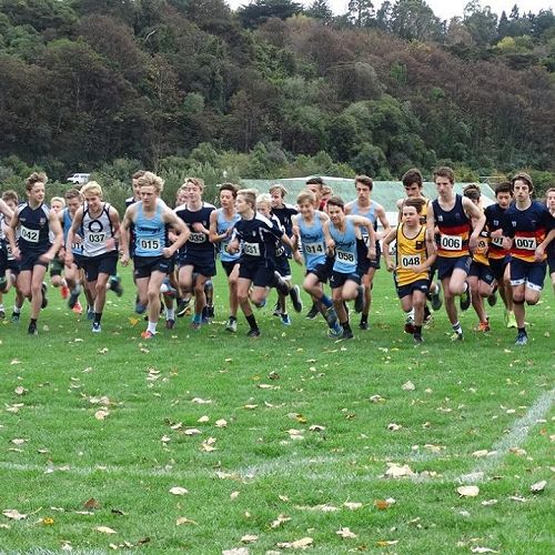 Logan Park Road Race