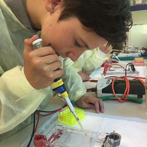 Testing DNA Samples in the Lab