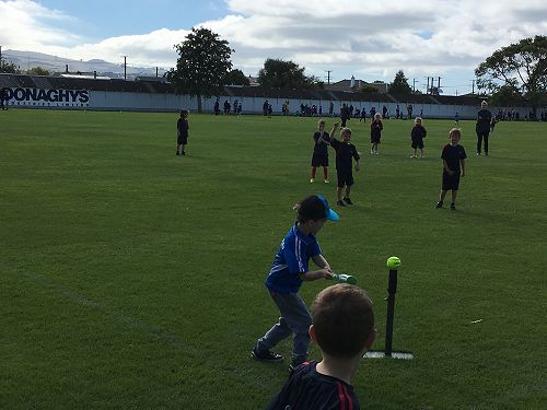 T Ball