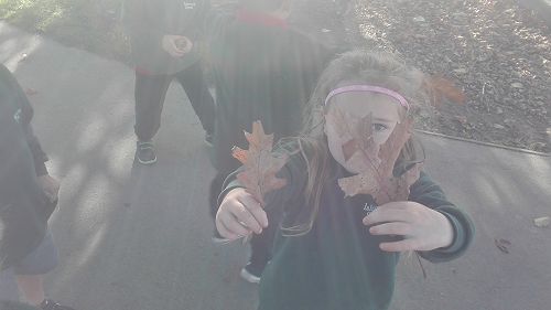 Autumn Fun