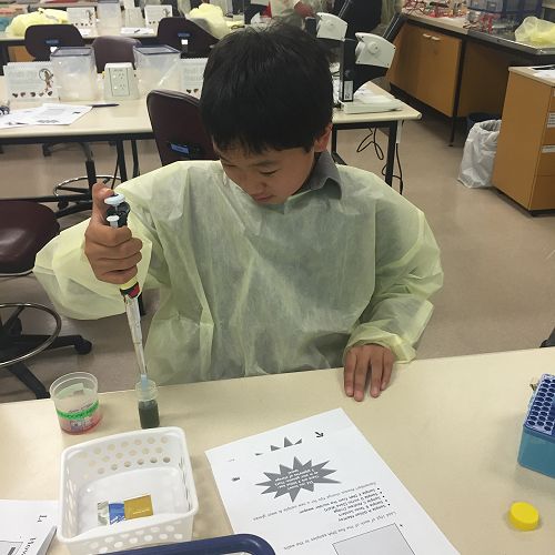 Testing DNA samples in the lab