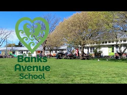 Video: Banks Ave School with VLN Primary