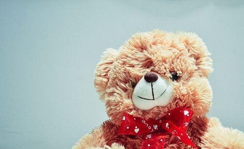 Donate toys for the White elephant