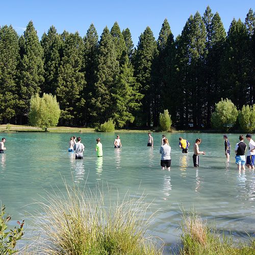 Going for a swim? Or just standing in the water?
