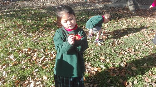 Autumn Fun