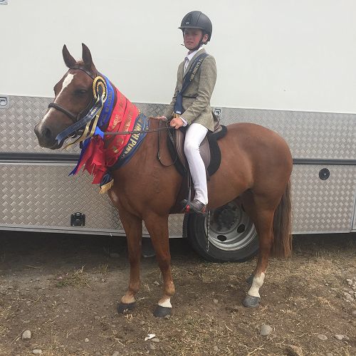 A mane full of ribbons! Quinn Coutts (Y7) on Goosebumps after a very successful few days at the NZ National Show Jumping and Show Hunter Champs in Christchurch.