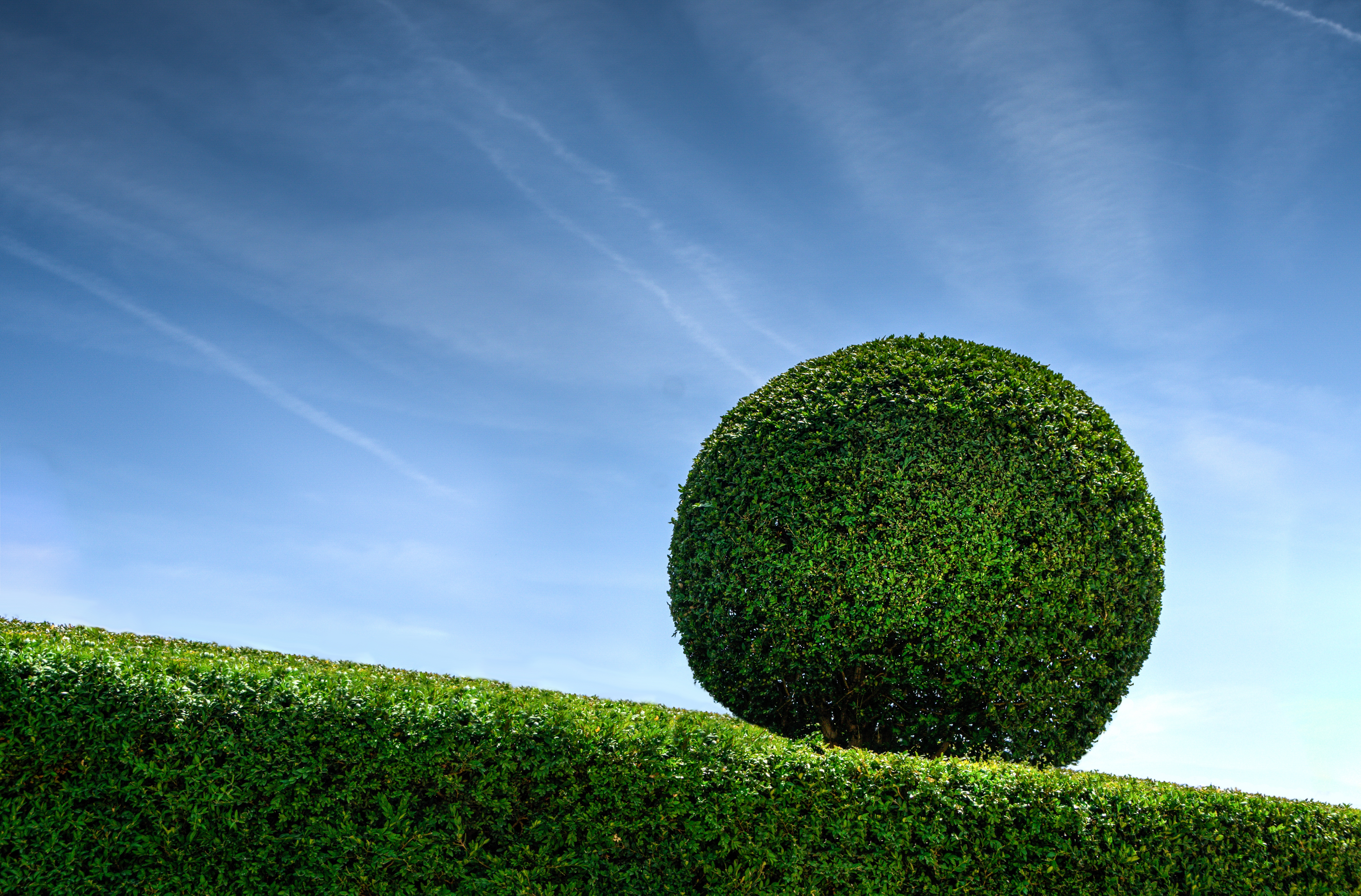 Calling all Greenfingers!