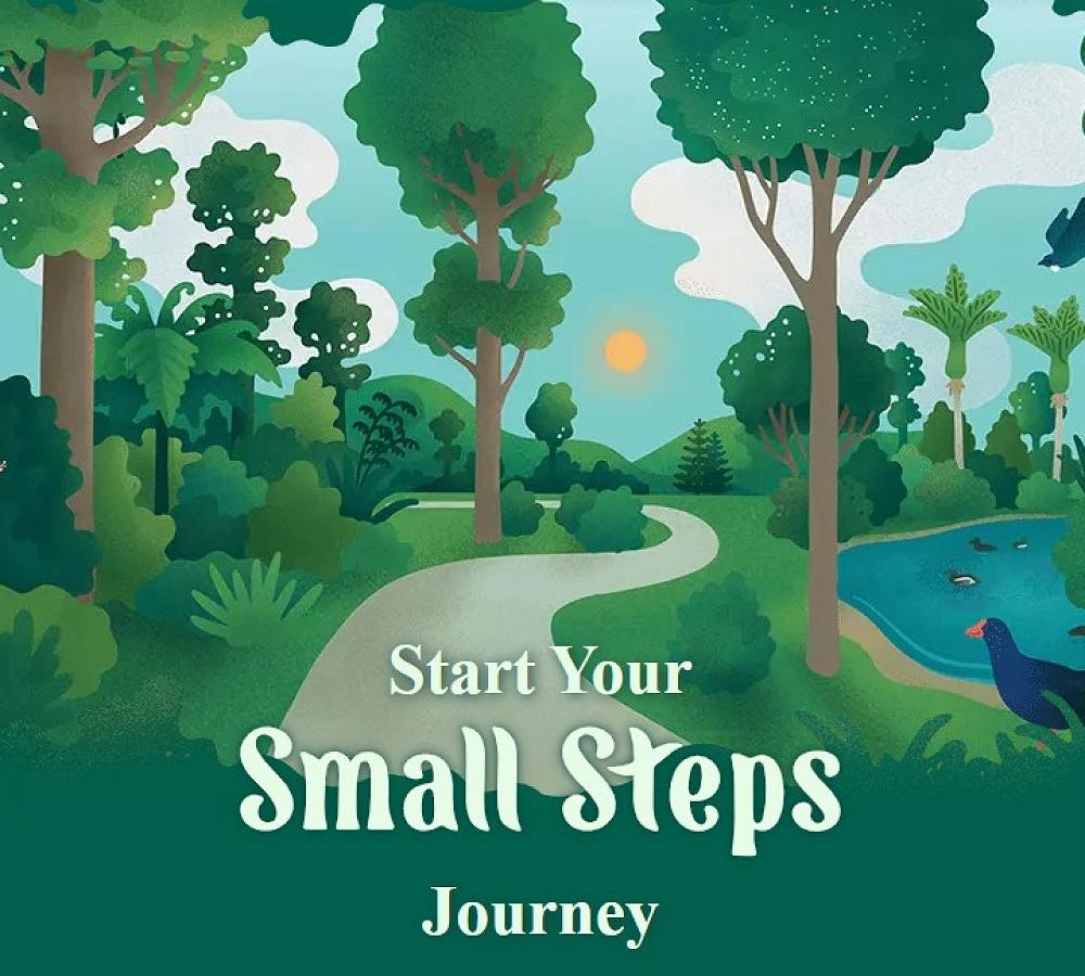 Small Steps