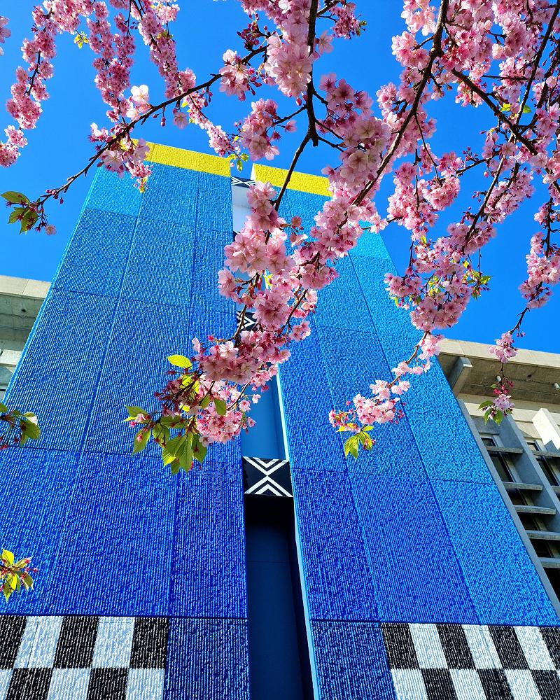 Applications for the 2024 Kaipukahu University of Waikato Writer in Residence are open