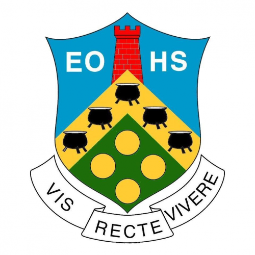 Organisation logo