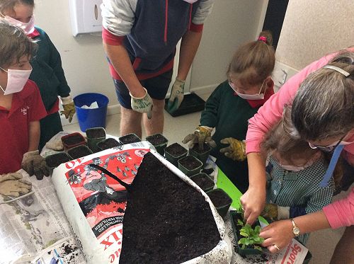 Gardening