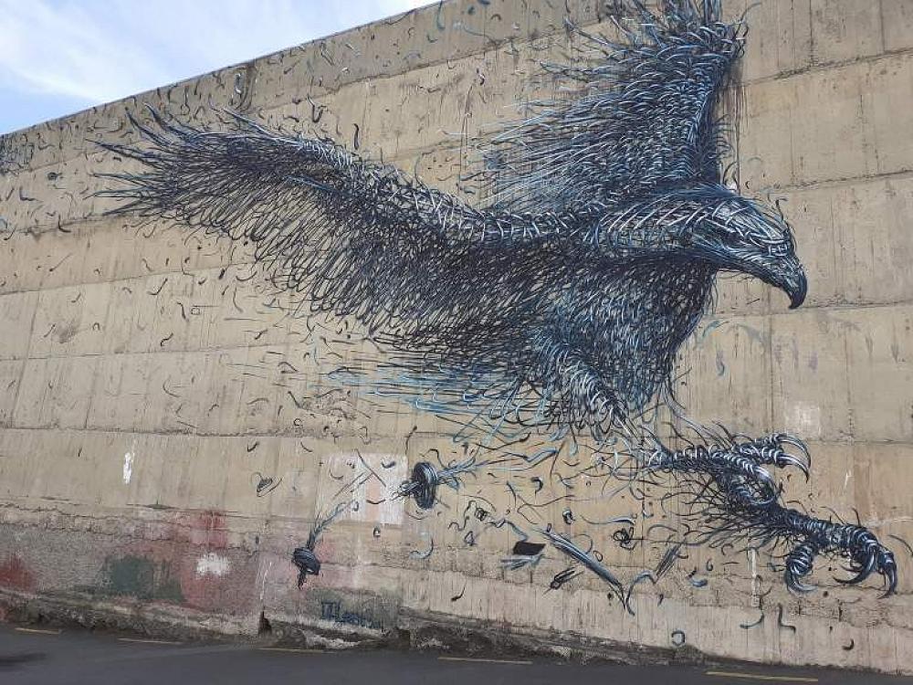 Dunedin: The Literary Jewel Half a World Away