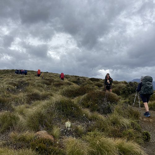 Kepler 2.0 - Day one, from the treeline to the hut