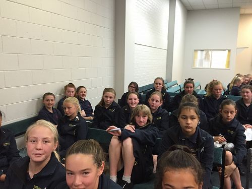 Sitting patiently awaiting their turn to entertain.