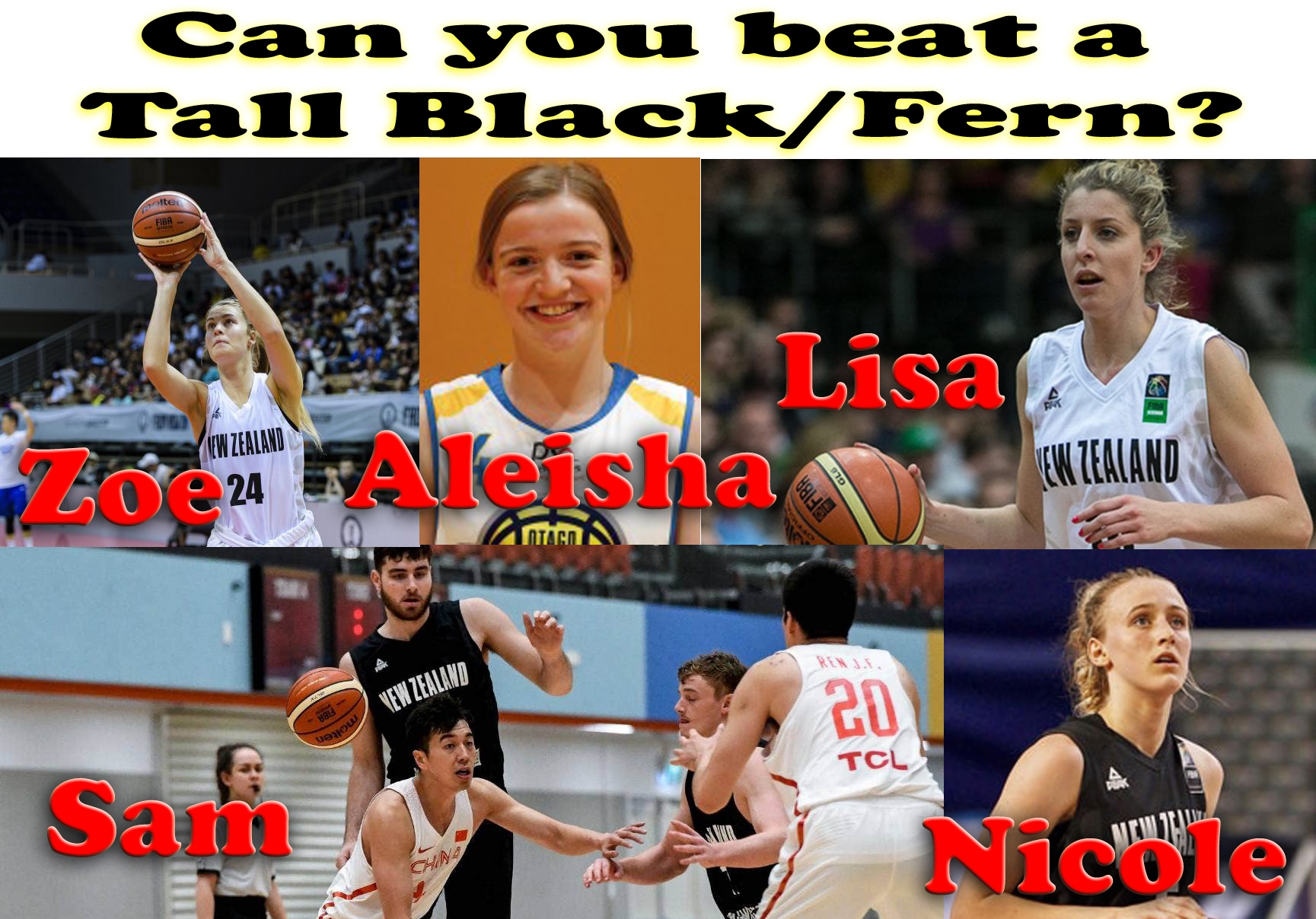 Knock Out with the Tall Blacks and Tall Ferns!