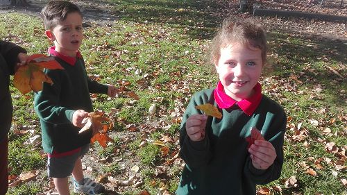 Autumn Fun