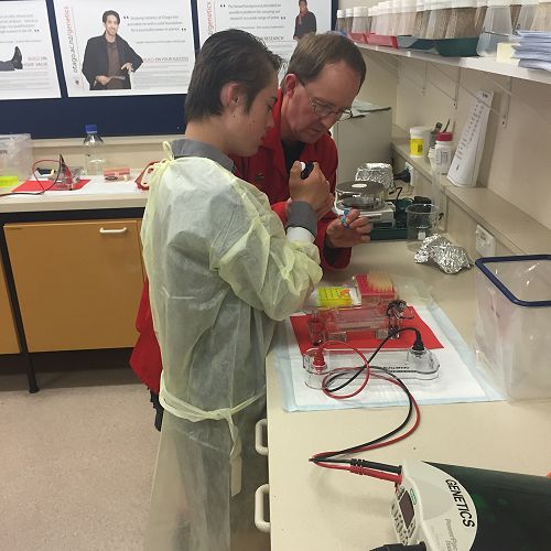 Testing DNA samples in the lab