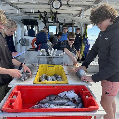 Measuring fish for practical investigation internal