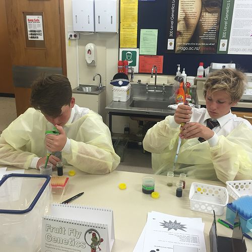 Testing DNA samples in the lab
