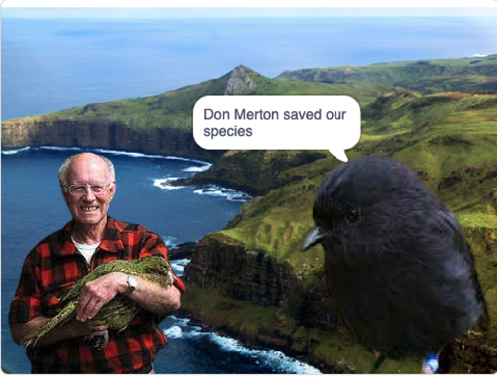 Hero photograph