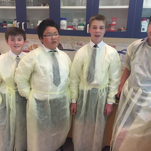 Testing DNA samples in the lab