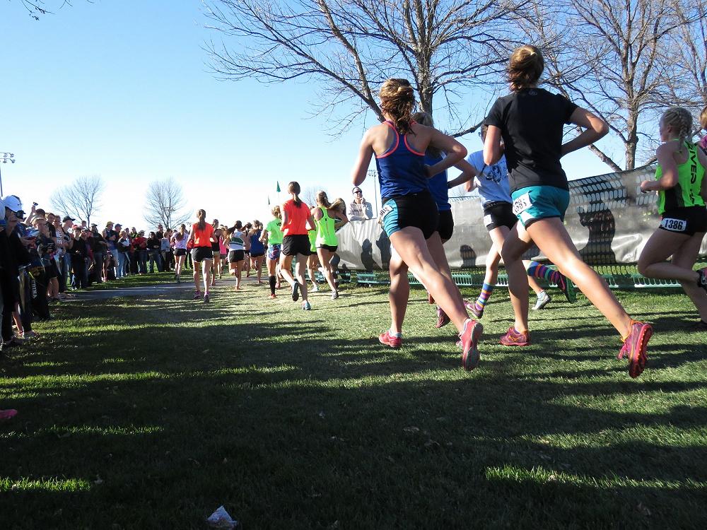 2022 Primary and Intermediate Schools Inter-Regional Cross Country ...