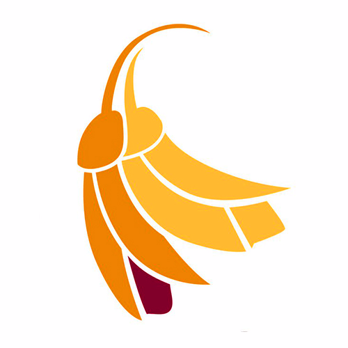 Organisation logo