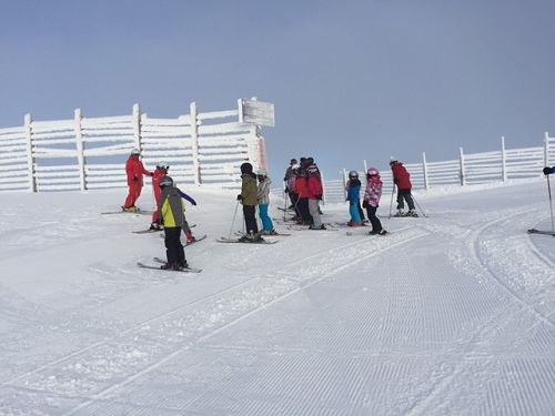 Skiing
