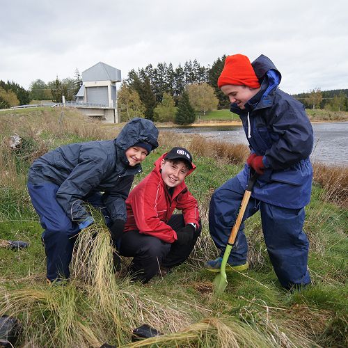 Thomas and Martin get ready to plant a native tussock as Stewart digs